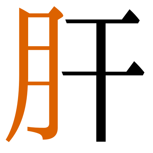 肝