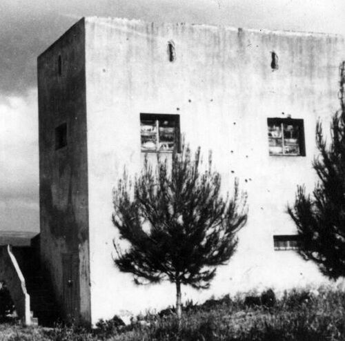 دافنا عام 1948
