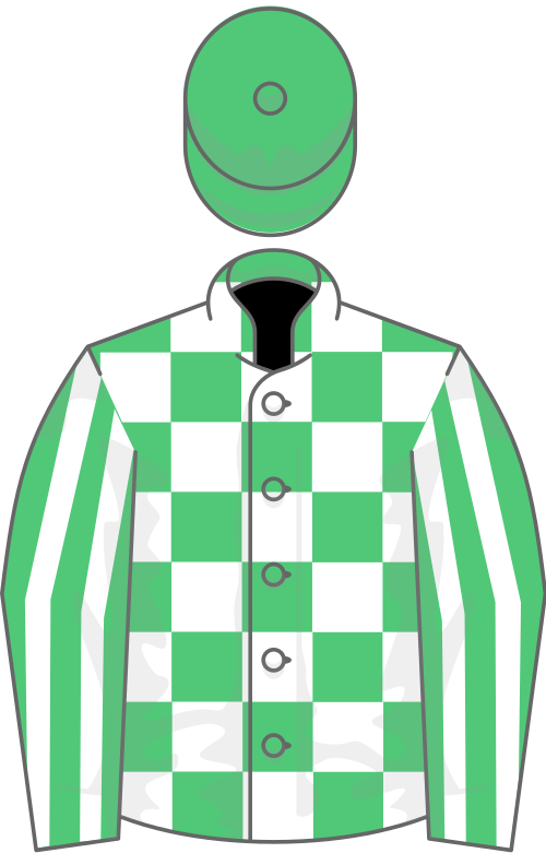 Emerald green and white check, striped sleeves, emerald green cap
