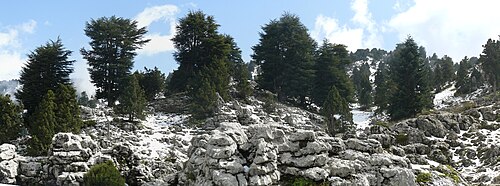 تكوينات كارستية مغطاة بالثلوج في جبال دانية.