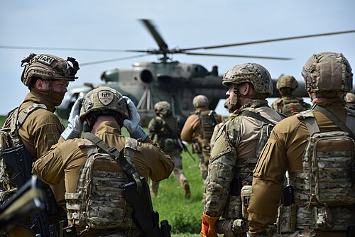 مشغلو نظام SSO يرتدون ملابس MultiCam