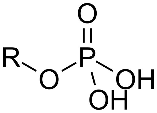 مجموعة الفوسفات