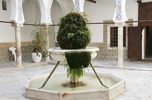 نافورة في فناء دار مصطفى باشا.