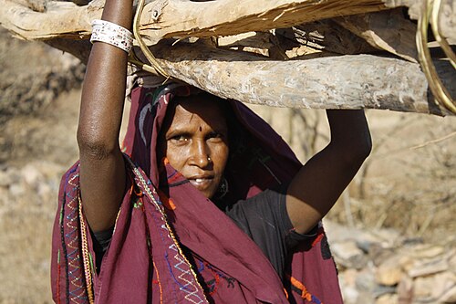صورة لامرأة تحمل حطبًا جمعته على رأسها