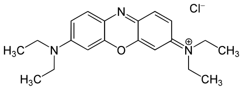 CI Basic Blue 3