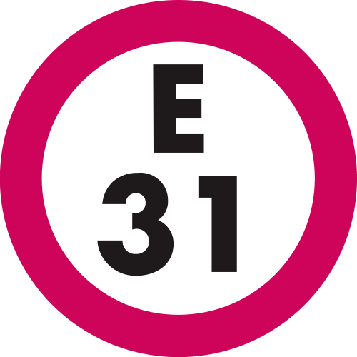 E-31