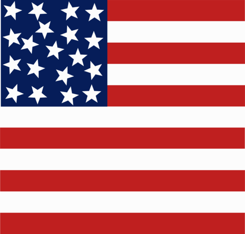 Digital remake of a flag flown by a Copperhead. The 11 stripes for the 9 states + 2 border states that were loyal to the Confederacy. The 19 stars for Indiana where it was made