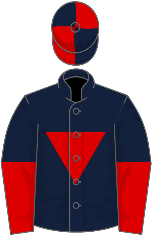 أزرق داكن، مثلث أحمر مقلوب، أكمام مقسومة إلى نصفين، قبعة مقسمة إلى أربعة أجزاء