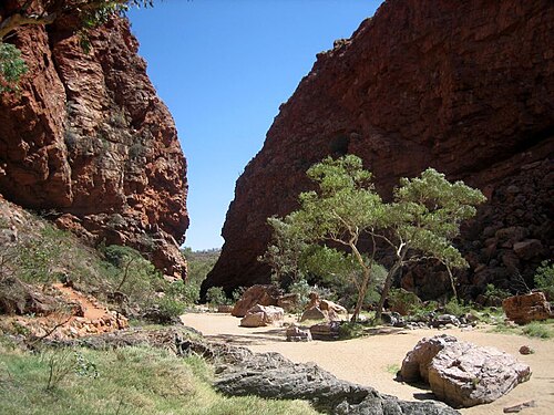 سيمبسونز غاب