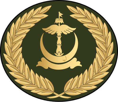 ضابط صف من الدرجة الثانية