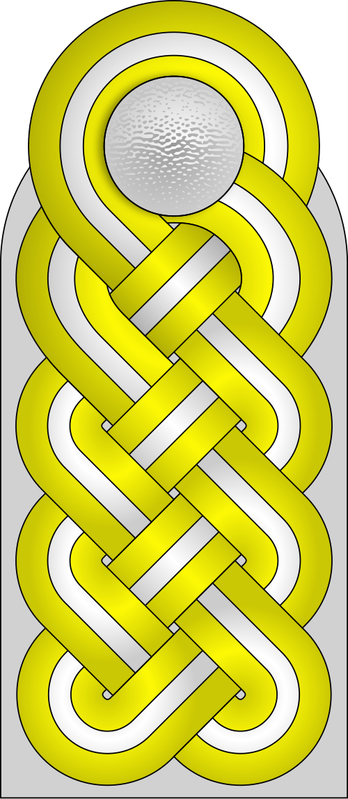 رقعة كتف (فافن-إس إس)