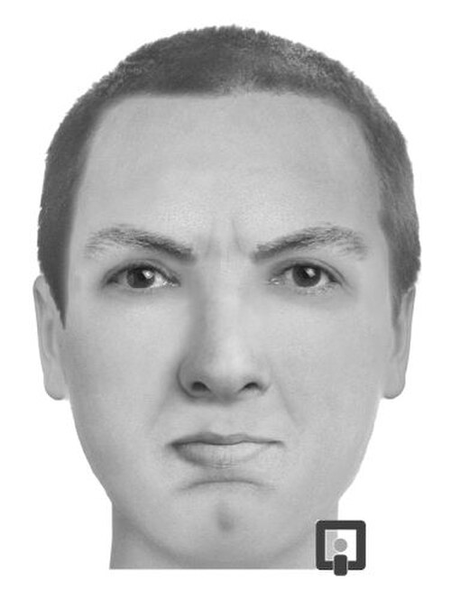 صورة مركبة للوجه تم إنتاجها بواسطة برنامج FACES