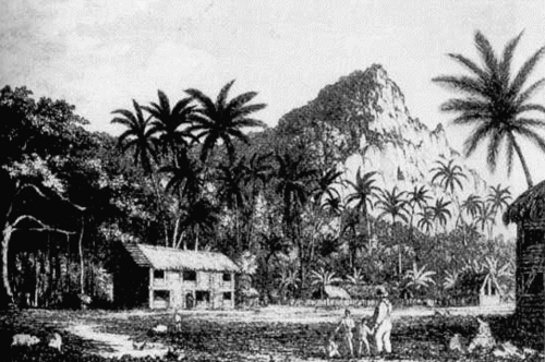نقش يعود لعام 1831 لمنزل جون آدامز الخشبي في جزيرة بيتكيرن