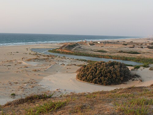 مصب النهر