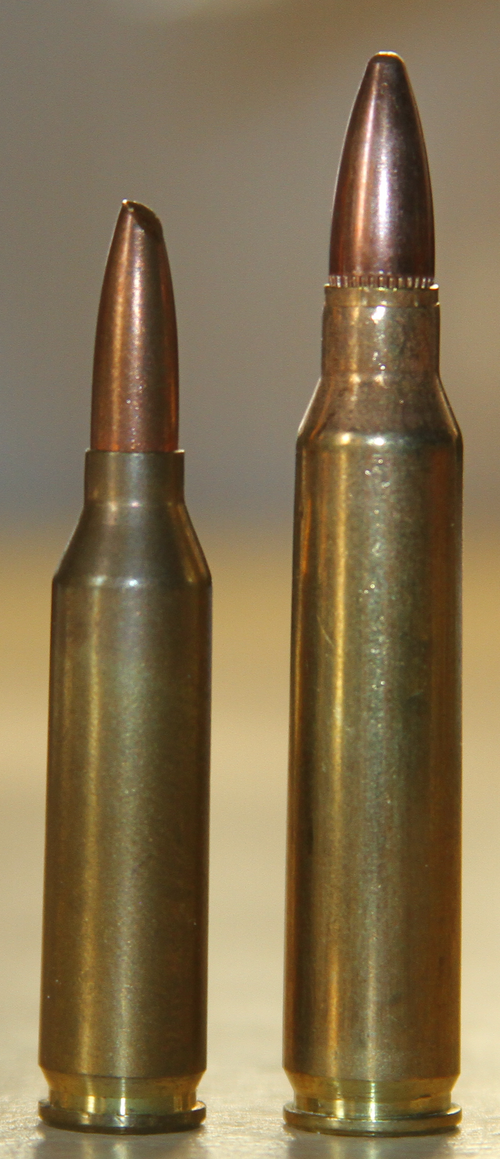 خرطوشة عيار 4.6x36 ملم بجانب خرطوشة عيار .223 ريمنجتون.