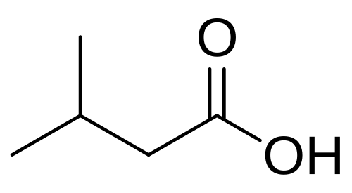 حمض الأيزوفاليريك