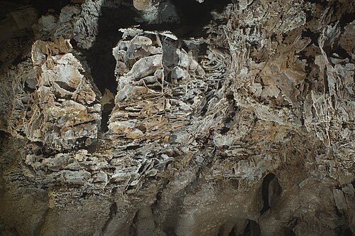 Wind Cave.