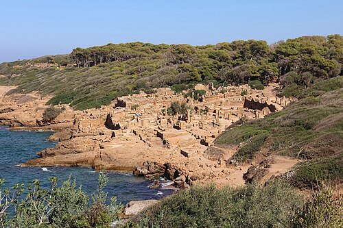 Ruins of Roman Tipasa