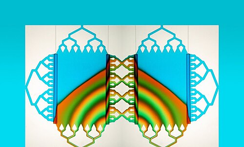 فراشة الموائع الدقيقة. بقلم جريج كوكسي وألبرت فولش.