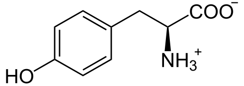 إل-تيروسين