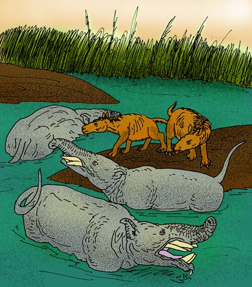 Pyrotherium romeroi و Rhynchippus equinus، العصر الأوليغوسيني في أمريكا الجنوبية