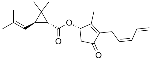 بيرثرين الأول