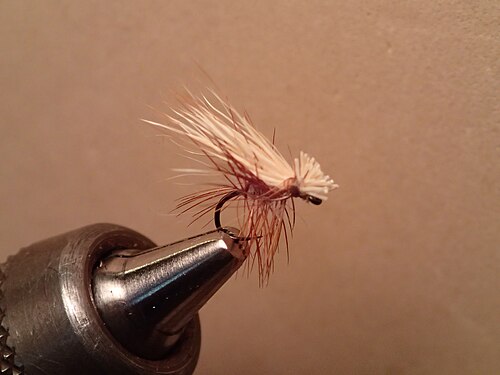 ذبابة جافة من نوع Elk Hair Catdis