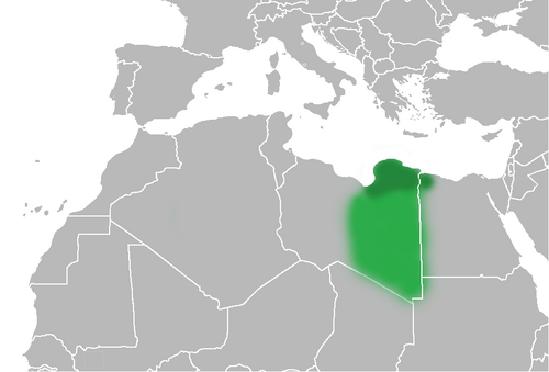 برقة في ليبيا