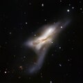 المجرة NGC 520، المجرات المتصادمة