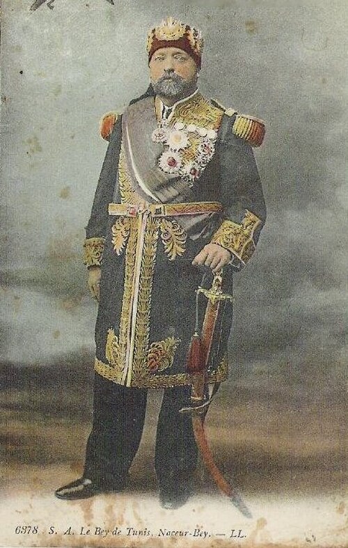 محمد الخامس الناصر التونسي
