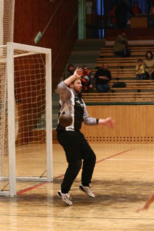 حارس مرمى منتخب التشيك لكرة اليد يحاول منع كرة بنية اللون من دخول الشباك البيضاء