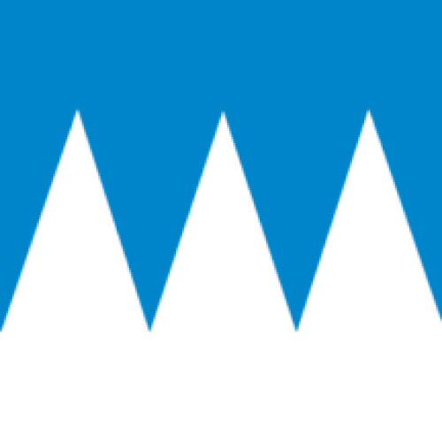 Flag of Rauma Municipality