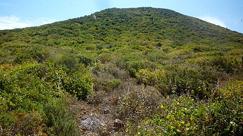 منظر للغطاء النباتي، الذي يتكون في الغالب من نبات الأوريوفال (Withania frutescens).