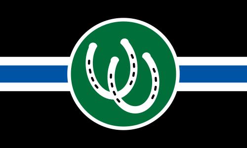 ترجمة حرفية
