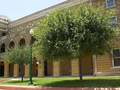 محكمة مقاطعة ويب اليوم