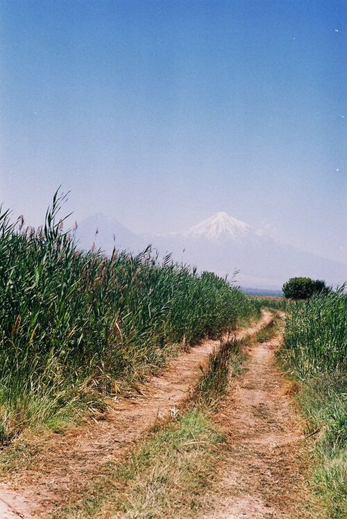 ساداراك