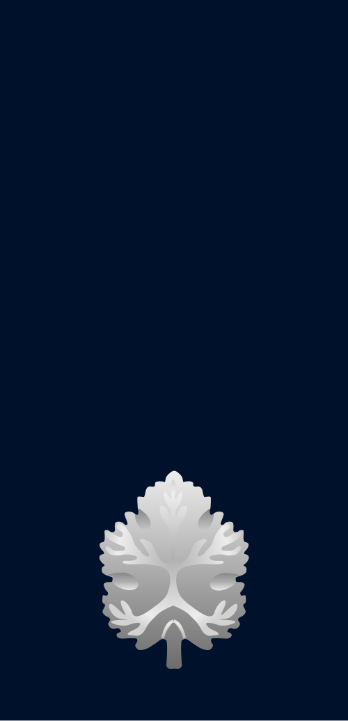 راف سيرين