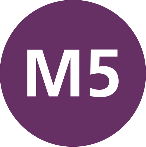 الخط M5