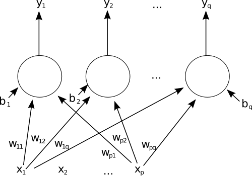 شبكة عصبية اصطناعية أحادية الطبقة ذات تغذية أمامية. تم حذف الأسهم المنبثقة من x₂ للتوضيح. تحتوي هذه الشبكة على p مدخلات وq مخرجات. في هذا النظام، تُحسب قيمة المخرج q، yq، على النحو التالي: yq = K ⋅ ( ∑ i ( xiwiq ) − bq ) .