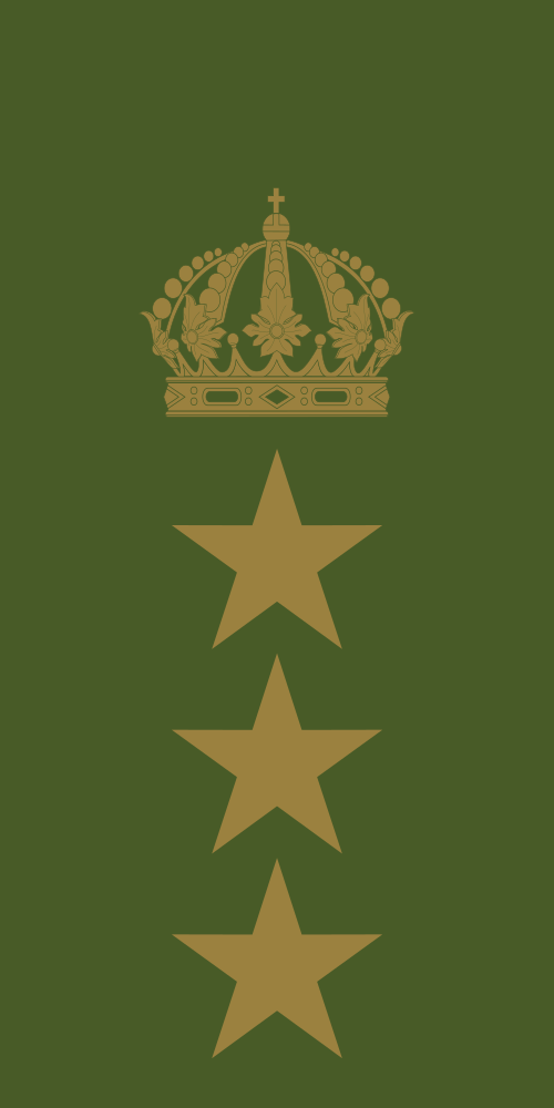 جيش