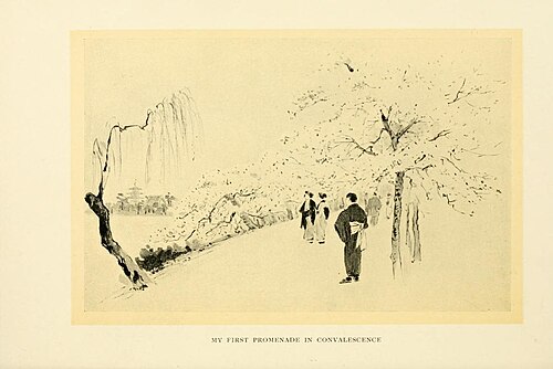 ممشى (1912)