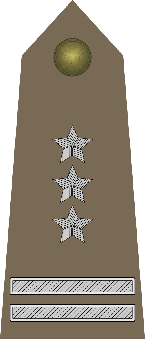 Pułkownik (القوات البرية البولندية)