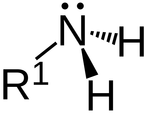 الأمين الأولي