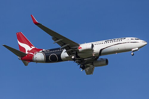 طائرة بوينغ 737-800 في عام 2015 تحمل ألوان ميندوورجي، المستوحاة من لوحة "جيب الدواء" للفنان الراحل بادي بيدفورد، رسام فنون غرب أستراليا. وقد حملت الطائرة هذا التصميم اللوني منذ عام 2013.