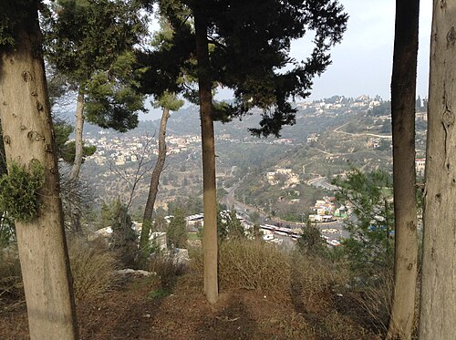 منظر لمدينة صفد