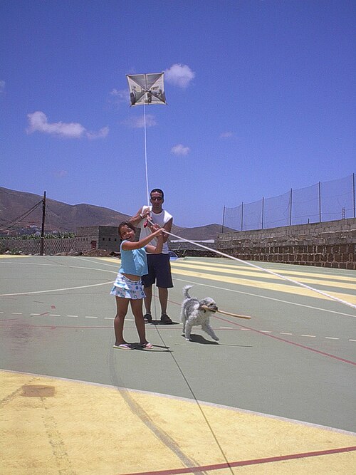 طائرة ورقية مربعة للمرح العائلي
