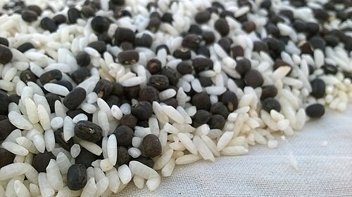 المكونات الرئيسية المستخدمة هي الأرز والعدس الأسود.