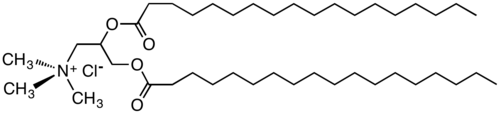 HEQ (هامبورغ إستر كوات)