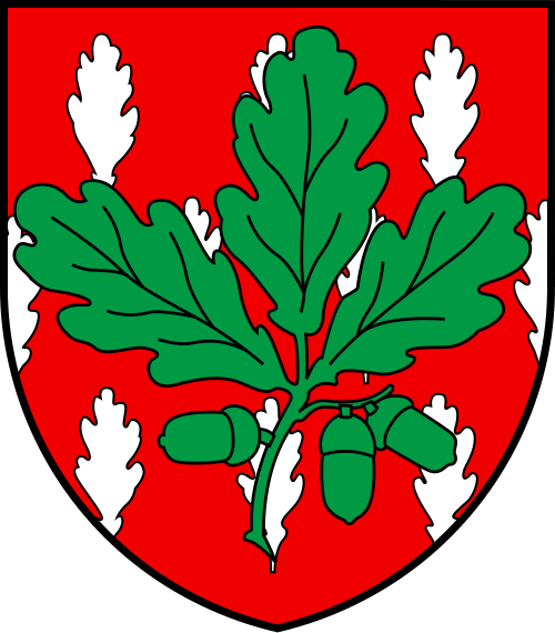 شين بورغ