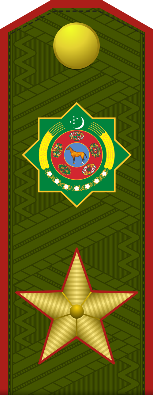غوشون عموما (القوات البرية التركمانية)